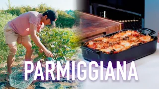 J'ai fait pousser mes aubergines pour CETTE recette