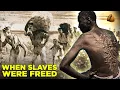 What happened on plantations after slaves were freed