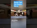 Download Lagu karate tiger van damme moves