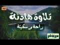 Download Lagu تلاوة هادئة❤️ تساعدك على راحة البال💞 بصوت القارئ عمر ضياء الدين Quiet Recitation