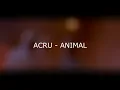 ANIMAL - ACRU - Rimas x Métrica x Skills