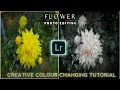 Flower Editing Lightroom Flower Photo Editing Lightroom Creative Colour Changing Tutorial