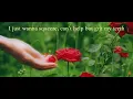 Perrie — Cute Aggression (Visual Lyric Video)