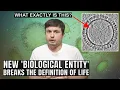 Download Lagu Is This How Viruses Actually Formed? Groundbreaking Biological Discovery