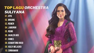 APIK - SULIYANA [OFFICIAL LIVE ORCHESTRA] | WIRANG, NEMEN