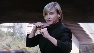 best fight scenes cynthia rothrock