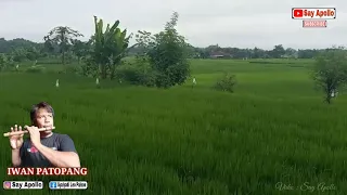 rampai kayu aro cover seruling akustik by iwan patopang