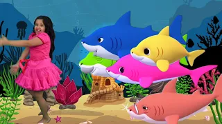 أغنية بيبي القرش من شفا أغنية للأطفال 