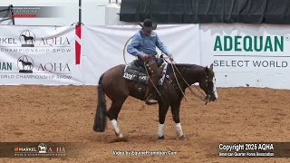 2025 Senior Working Cow Horse World Champion 