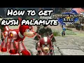 How to get Rush from Megaman as a Palamute in Monster Hunter Rise layered armor