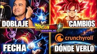 TODO LO QUE TIENES QUE SABER Antes de ver Dragon Ball Super Beerus