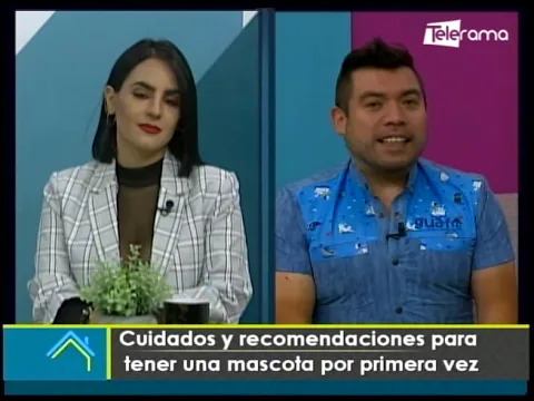 Cuidados y recomendaciones para tener una mascota por primera vez