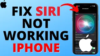 How To Fix Siri Not Working On Any IPhone 2024 