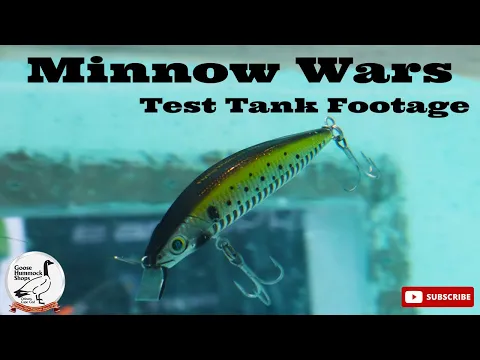 Download MP3 Which Minnow is the BEST?!? (UNDERWATER FOOTAGE)