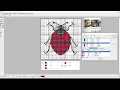 7 Hatch Embroidery - Adjusting Cross Stitch Colors