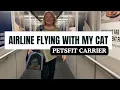 How to Fly With Your Cat In Cabin with Best Pet Carrier