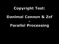 Danimal Cannon Zef - Parallel Processing Copyright Test