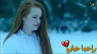 يالله راحوا حبابي كلمات   بدون توقيع دندنها