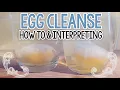 EGG CLEANSE How to Do an EGG Cleanse and INTERPRET It