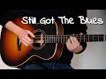 Download Lagu Still Got The Blues (Gary Moore) - Fingerstyle Acoustic Guitar