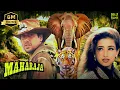 Download Lagu Maharaja | Hindi Full Movie | Govinda | Manisha Koirala | Raj Babbar | Hindi Action Movies