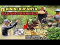 Lagu PANEN PADI DAN MENCARI IKAN DI SUNGAI | Bakar Ikan Hasil Alam, Tumis Kangkung dan Rebung