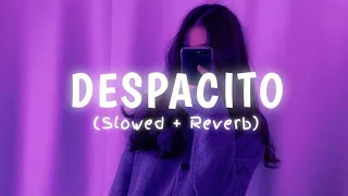 Despacito Slowed Reverb Luis Fonsi Despacito Slowed And Reverb Despacito Lofi Luis Fonsi Song 