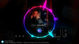 اغنية ريمكس راي مانيني قليطووو فمليطووو 