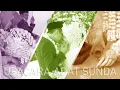 Download Lagu Upacara Adat Pengantin Sunda Setelah Akad Nikah ‼️ Sungkeman # Huap Lingkung # Sawer Pengantin