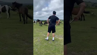 مهران هورا را ببین و او در دارتمور خوشحال است Mehrjesia Galligallisimsim Mehrunissa Automobi  مهران هورا را ببین و او در دارتمور خوشحال است Mehrjesia Galligallisimsim Mehrunissa Automobi