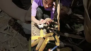                    دندنها