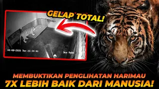 APAKAH HARIMAU DAPAT MELIHAT DI TEMPAT YANG TIDAK ADA CAHAYA SAMA SEKALI?!