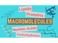 Macromolecules Classes and Functions