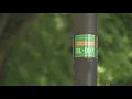 Beltline lightpoles get new ID markers 911 vs 311 in Atlanta