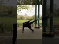 Download Lagu Pencak Silat \u0026 Kickboxing combat moves #martialarts #kickboxing #combat