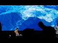 "JAZZ FOR FREEPORT" (Dwiki Dharmawan) feat. Gilad Atzmon, ANAGNORISIS Tour 2026