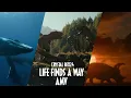 Download Lagu Jurassic World: Life Finds a Way (AMV)