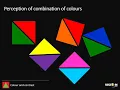 Vision2Brain Colour and contrast Visual perception