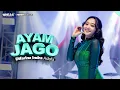 Download Lagu AYAM JAGO - Difarina Indra Adella - OM ADELLA