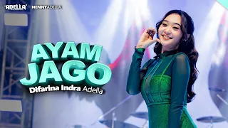 ayam jago difarina indra adella om adella