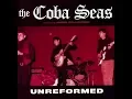 Download Lagu Coba Seas and Friends