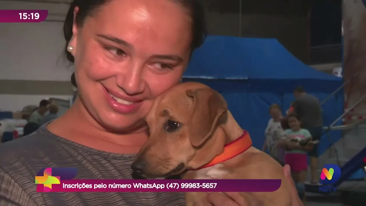 Mutirão de castração gratuita de animais acontece em Blumenau