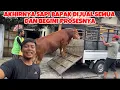AKHIRNYA SAPI BAPAK DIJUAL SEMUA DAN BEGINI PROSESNYA