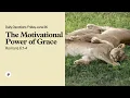 The Motivational Power of Grace - Daily Devotional