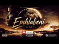 Dj Njebza  - Sengimtholile  (Official Audio) ft Minenhle M