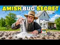 Why the Amish Don t Need Pest Control The Old 1 Solution They Still Use Today