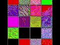Genetically Evolved Cellular Automata