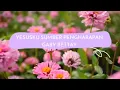 Download Lagu Lagu Rohani Terbaru, Yesusku Sumber Pengharapan- Gaby Bettay