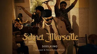                                                                 دندنها