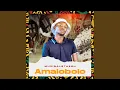 Download Lagu Amalobolo (Clean Bandit Remix)